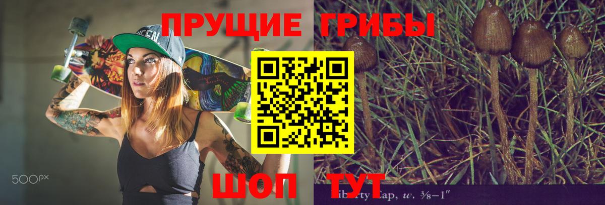 Десногорск  Галлюциногенные грибы ЛСД  Вход с VPN  Галлюциногенные грибы GOLDEN TEACHER 